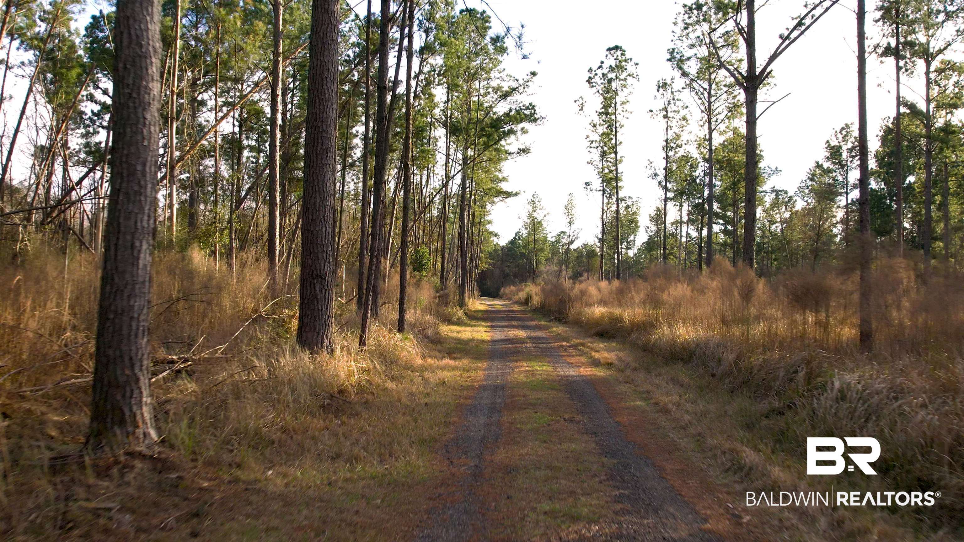 19025 -A Greek Cemetery Road Robertsdale, AL 36567 - Photo 48 of 50