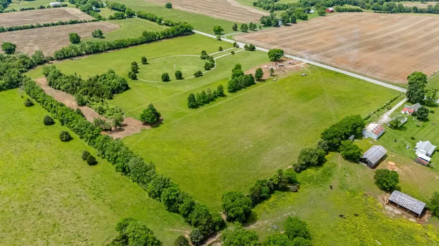 an aerial view of a residential houses with outdoor space and trees