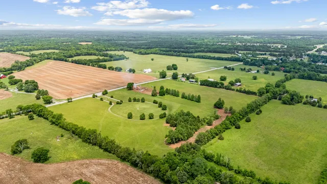 a view of a garden with a yard