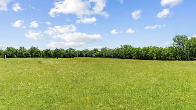 a view of yard with swimming pool and green space