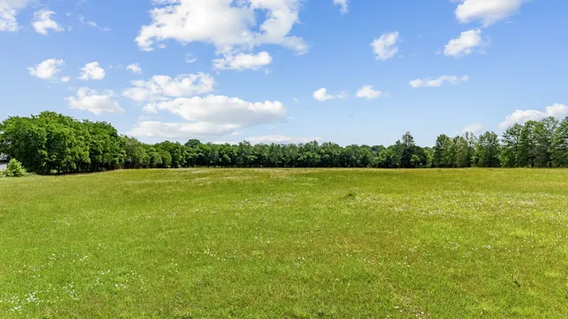 a view of a green field with an ocean