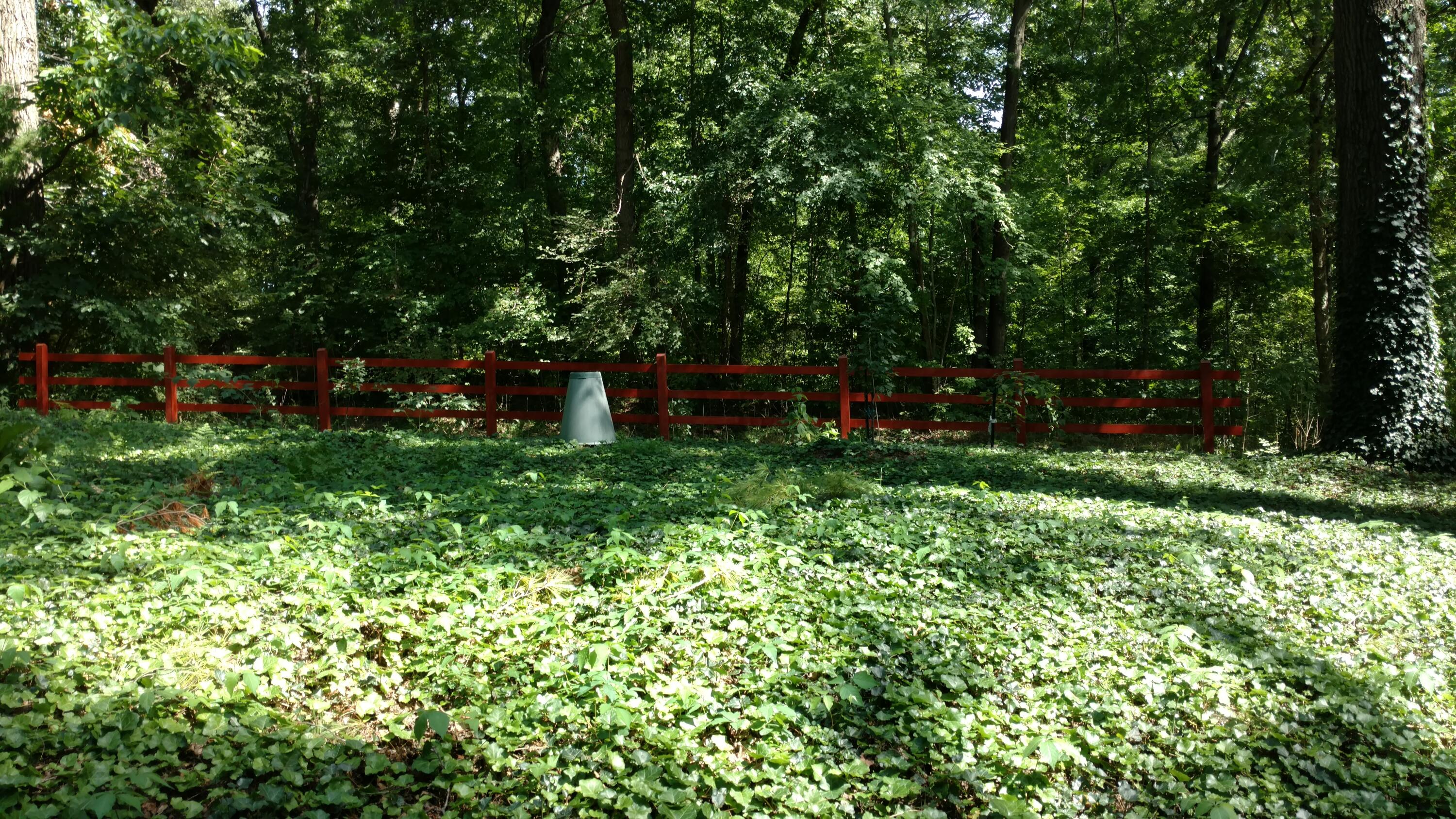 8196 Wildwood Road Reading, MI 49274 - Photo 14 of 81 IMG_20210825_152324954