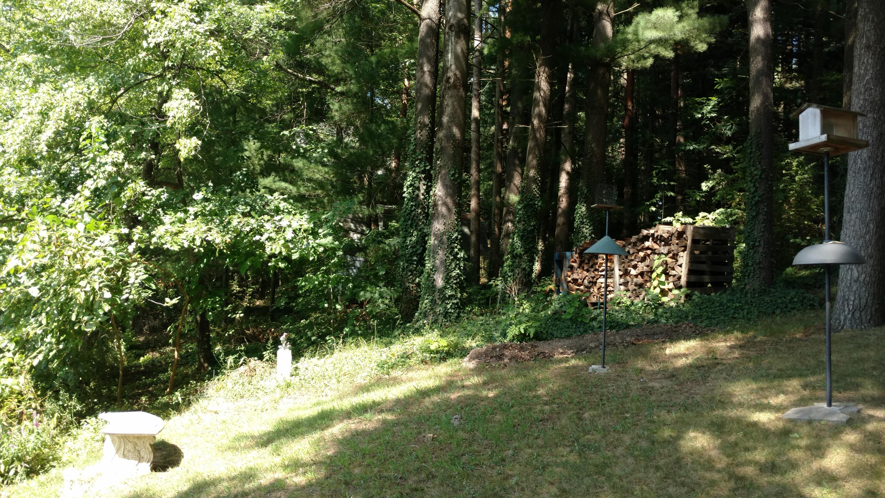 8196 Wildwood Road Reading, MI 49274 - Photo 52 of 81 IMG_20210825_152721106