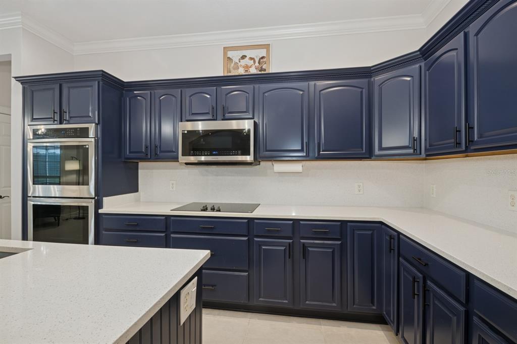 35520 Timbertop Lane Fruitland Park, FL 34731 - Photo 11 of 82 a kitchen with stainless steel appliances granite countertop wooden cabinets a refrigerator and a sink