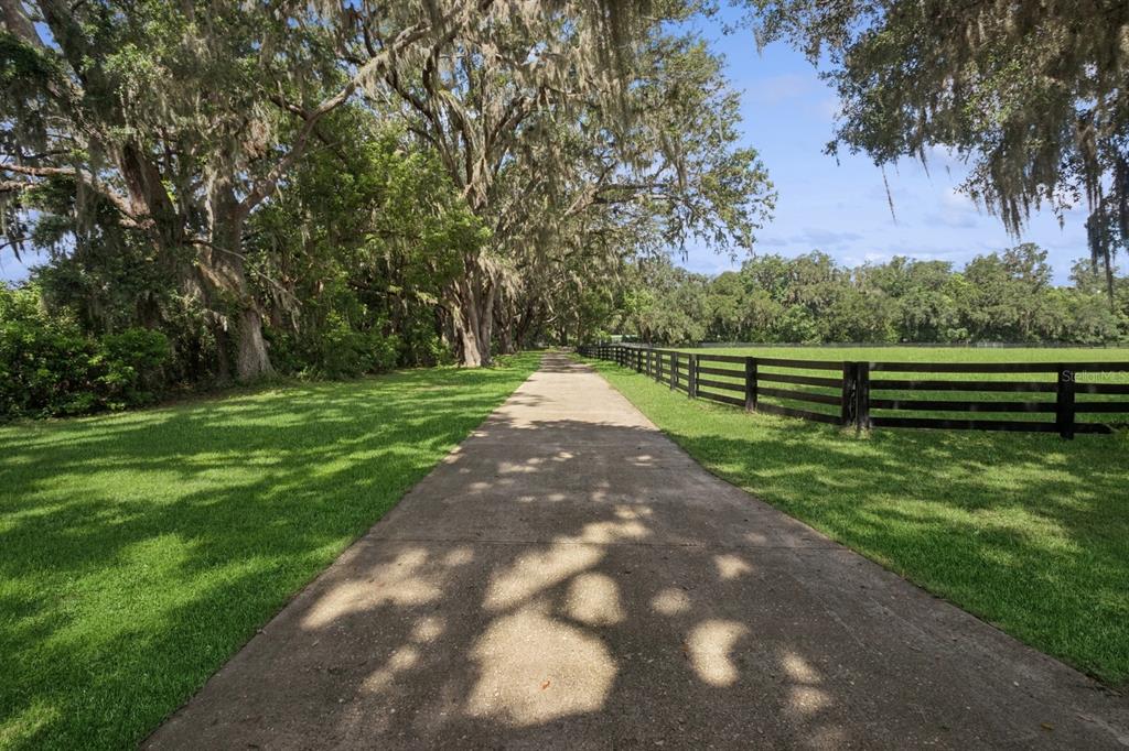 35520 Timbertop Lane Fruitland Park, FL 34731 - Photo 50 of 82