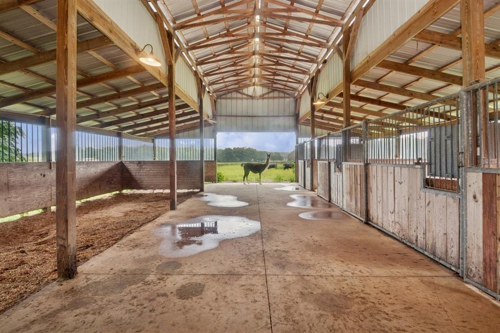 35520 Timbertop Lane Fruitland Park, FL 34731 - Photo 57 of 82