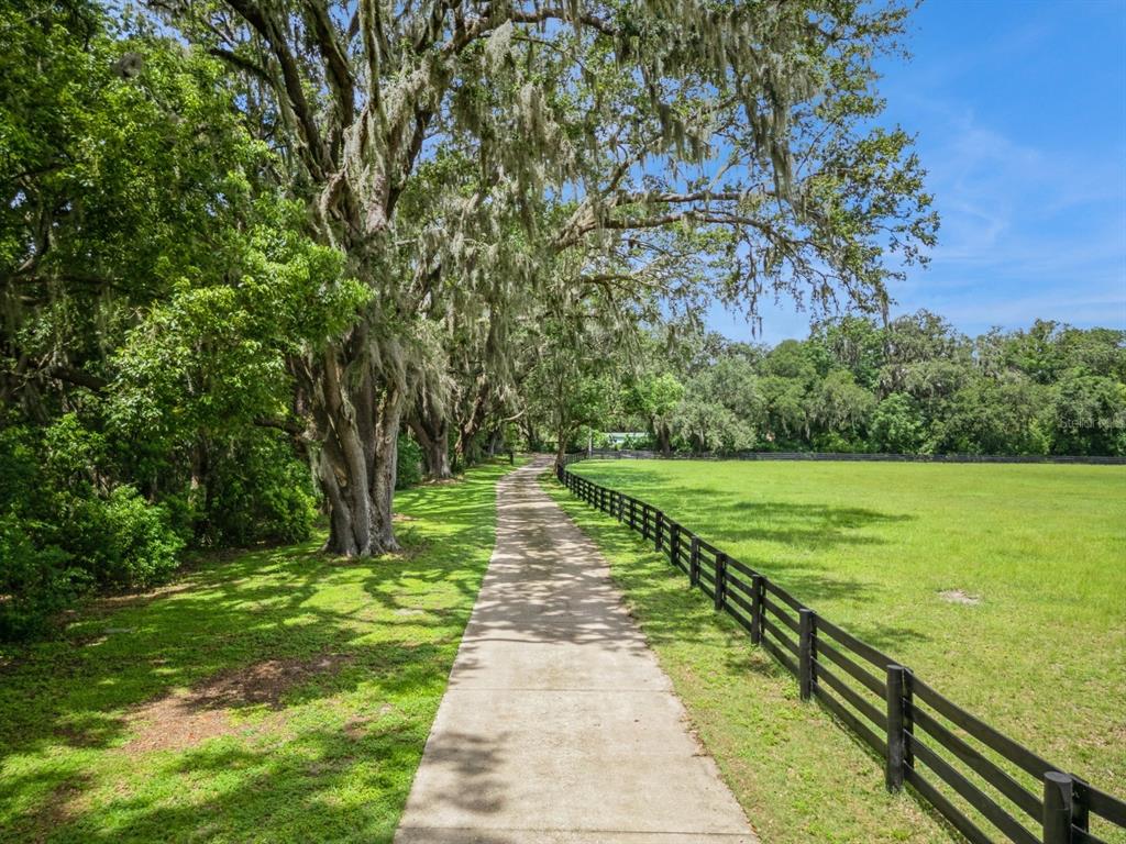 35520 Timbertop Lane Fruitland Park, FL 34731 - Photo 78 of 82