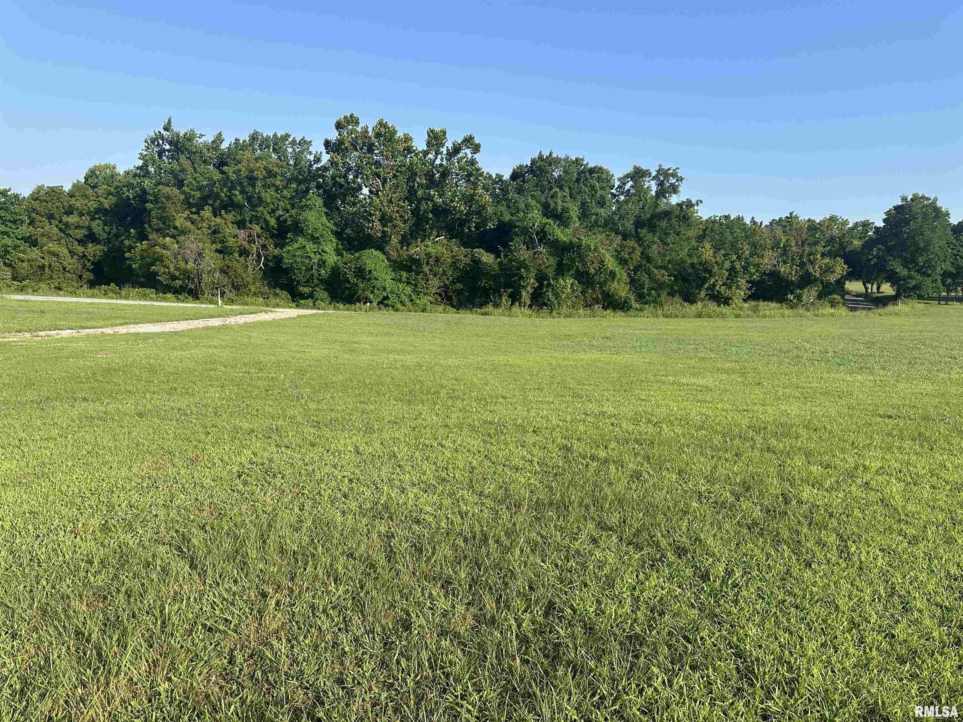 140 Alto Pass Road Pomona, IL 62975 - Photo 5 of 6