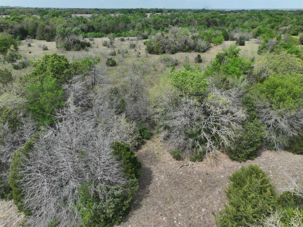 Tbd Mitchell Road Kosse, TX 76653 - Photo 15 of 30 Drone / aerial view
