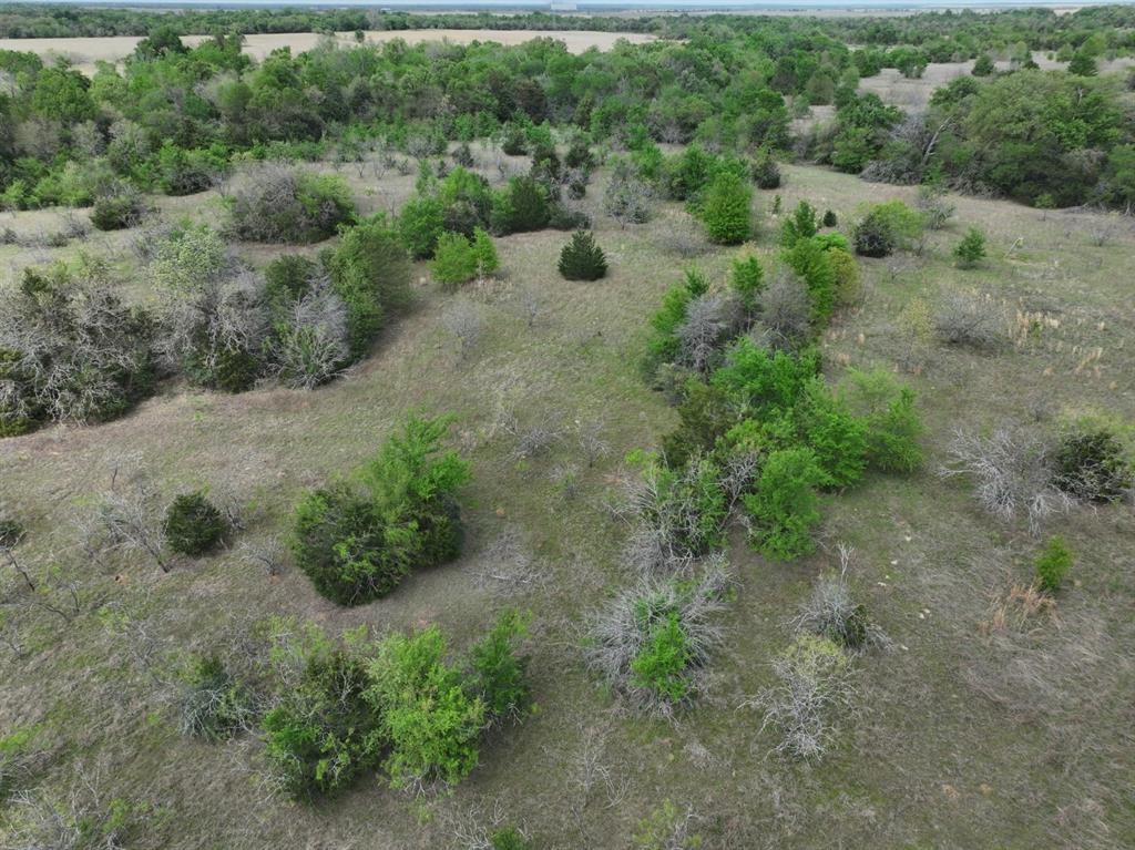 Tbd Mitchell Road Kosse, TX 76653 - Photo 16 of 30 Drone / aerial view
