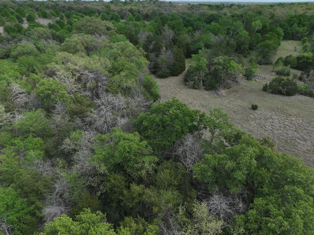 Tbd Mitchell Road Kosse, TX 76653 - Photo 18 of 30 Drone / aerial view