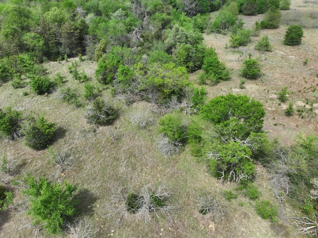 Tbd Mitchell Road Kosse, TX 76653 - Photo 22 of 30 Drone / aerial view