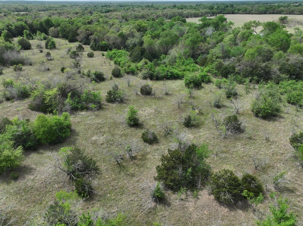Tbd Mitchell Road Kosse, TX 76653 - Photo 23 of 30 Drone / aerial view