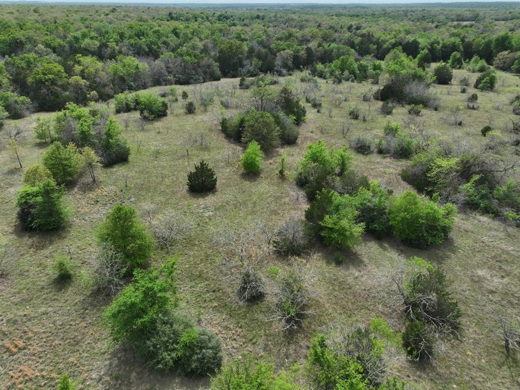 Tbd Mitchell Road Kosse, TX 76653 - Photo 24 of 30 Drone / aerial view