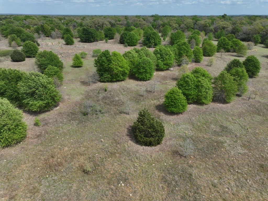 Tbd Mitchell Road Kosse, TX 76653 - Photo 25 of 30 Drone / aerial view