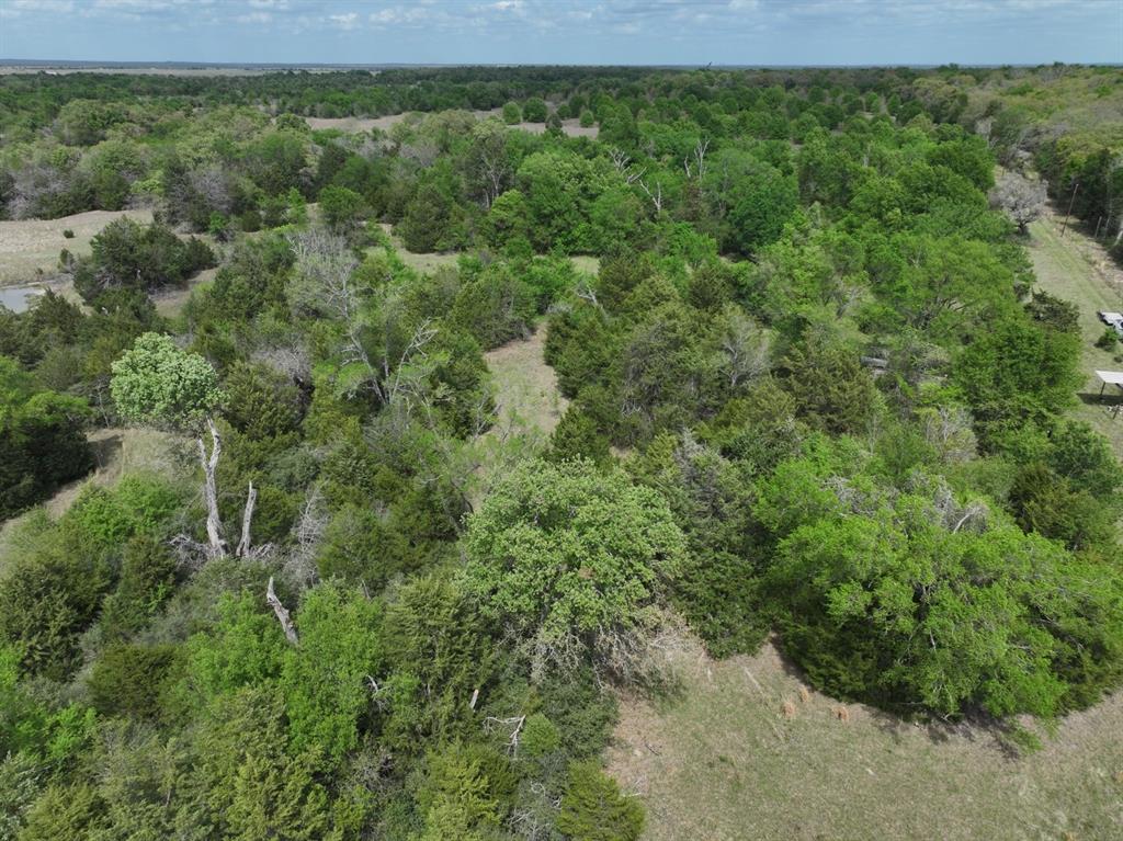Tbd Mitchell Road Kosse, TX 76653 - Photo 26 of 30 Drone / aerial view