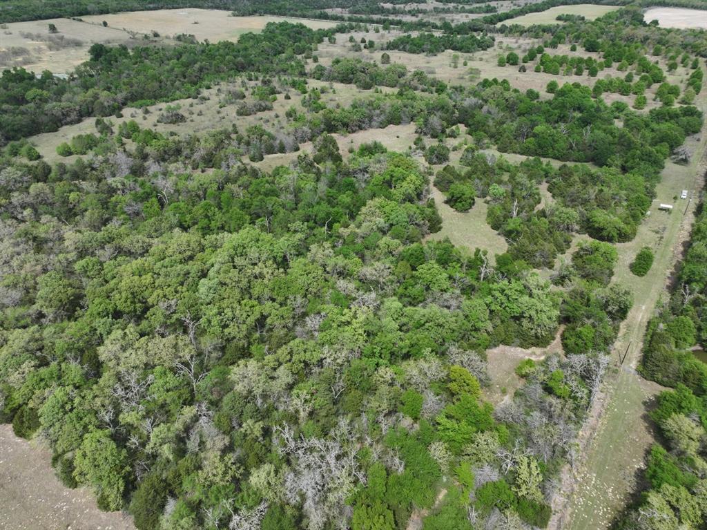 Tbd Mitchell Road Kosse, TX 76653 - Photo 29 of 30 Drone / aerial view