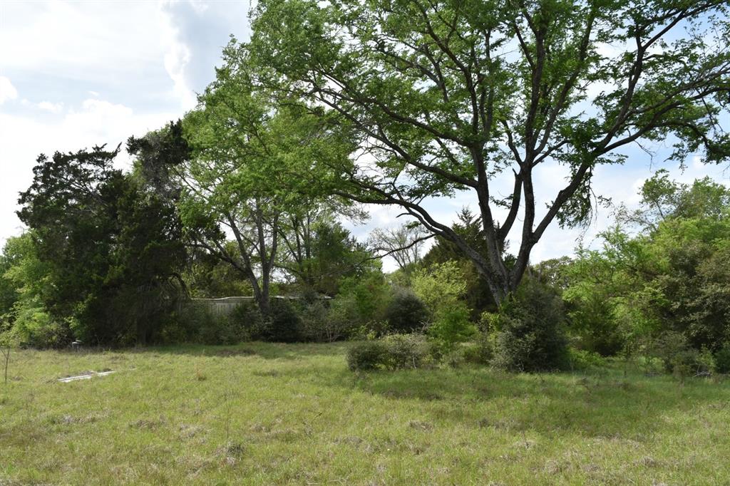 Tbd Mitchell Road Kosse, TX 76653 - Photo 6 of 30 View of tree filled area