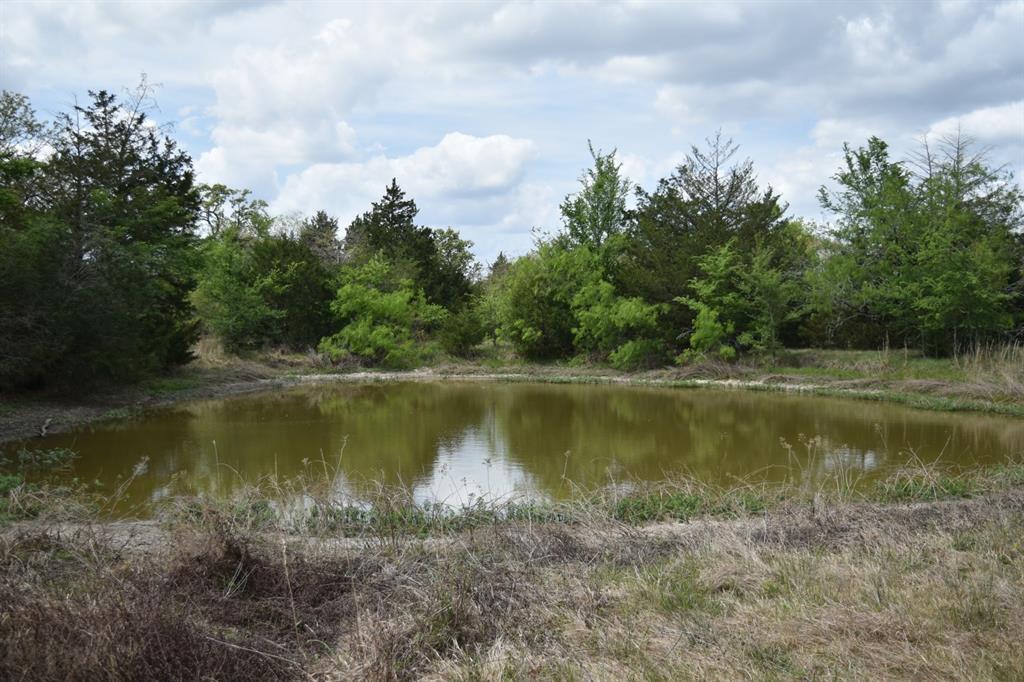 Tbd Mitchell Road Kosse, TX 76653 - Photo 7 of 30 View of pond with trees