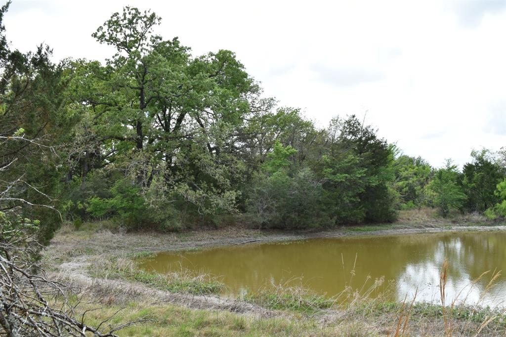 Tbd Mitchell Road Kosse, TX 76653 - Photo 8 of 30 View of pond with trees