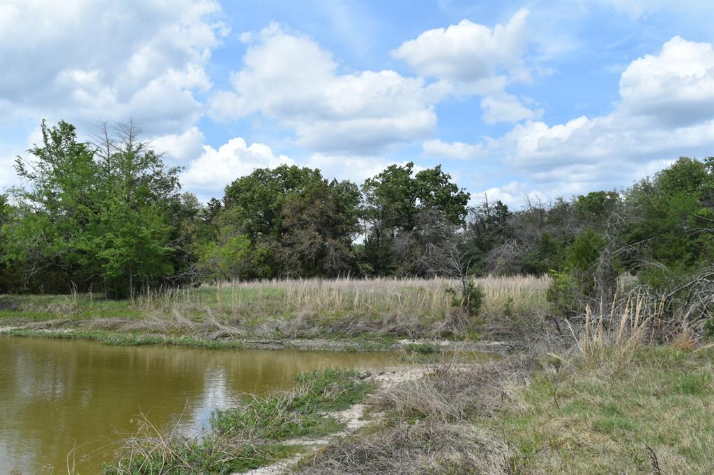 Tbd Mitchell Road Kosse, TX 76653 - Photo 9 of 30 View of pond with trees