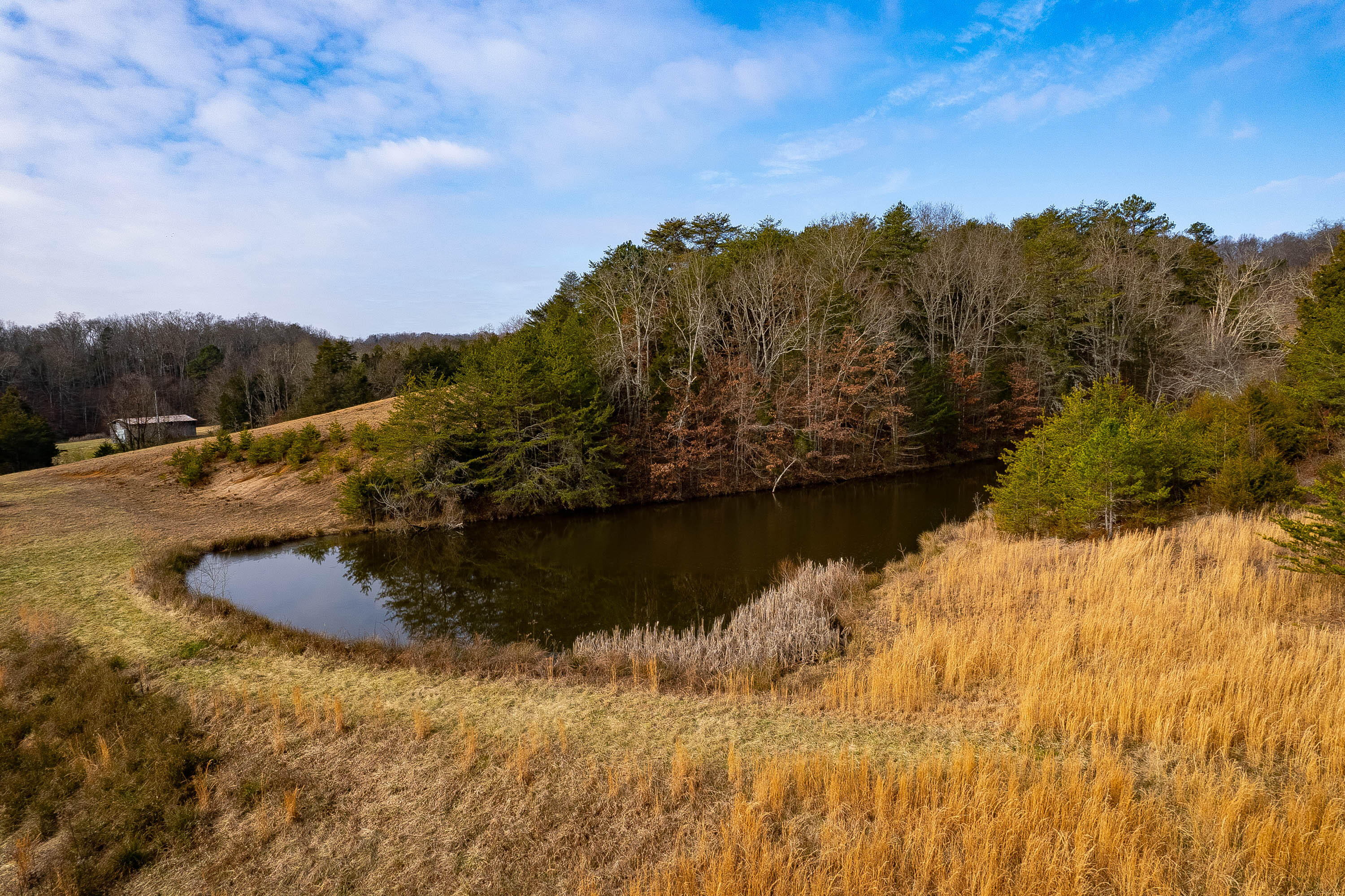 5845 Whitehouse Road Greeneville, TN 37745 - Photo 4 of 24 White House-2