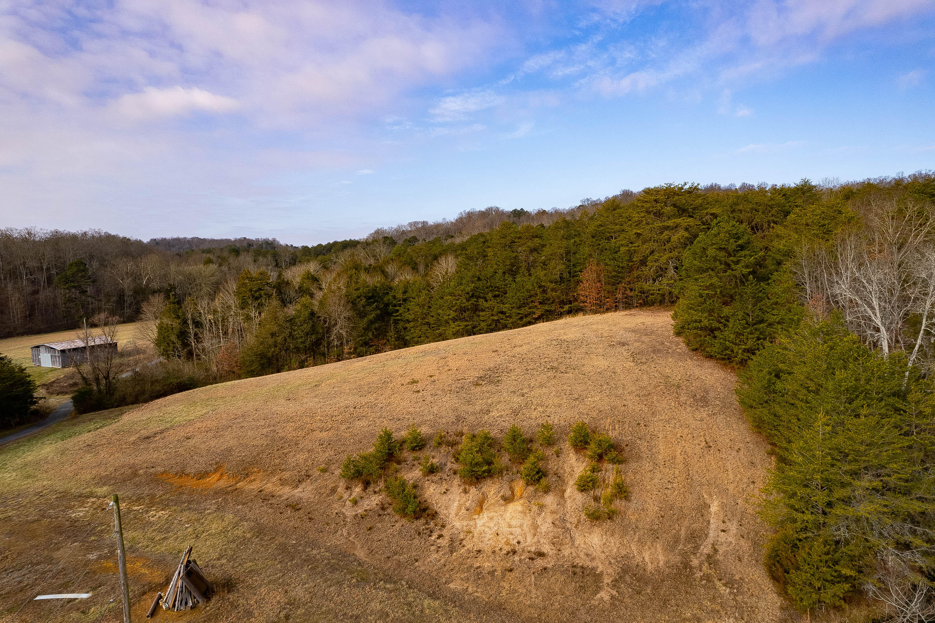 5845 Whitehouse Road Greeneville, TN 37745 - Photo 8 of 24 White House-6