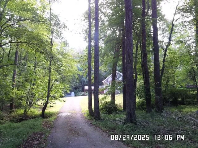 a view of a park that has large trees