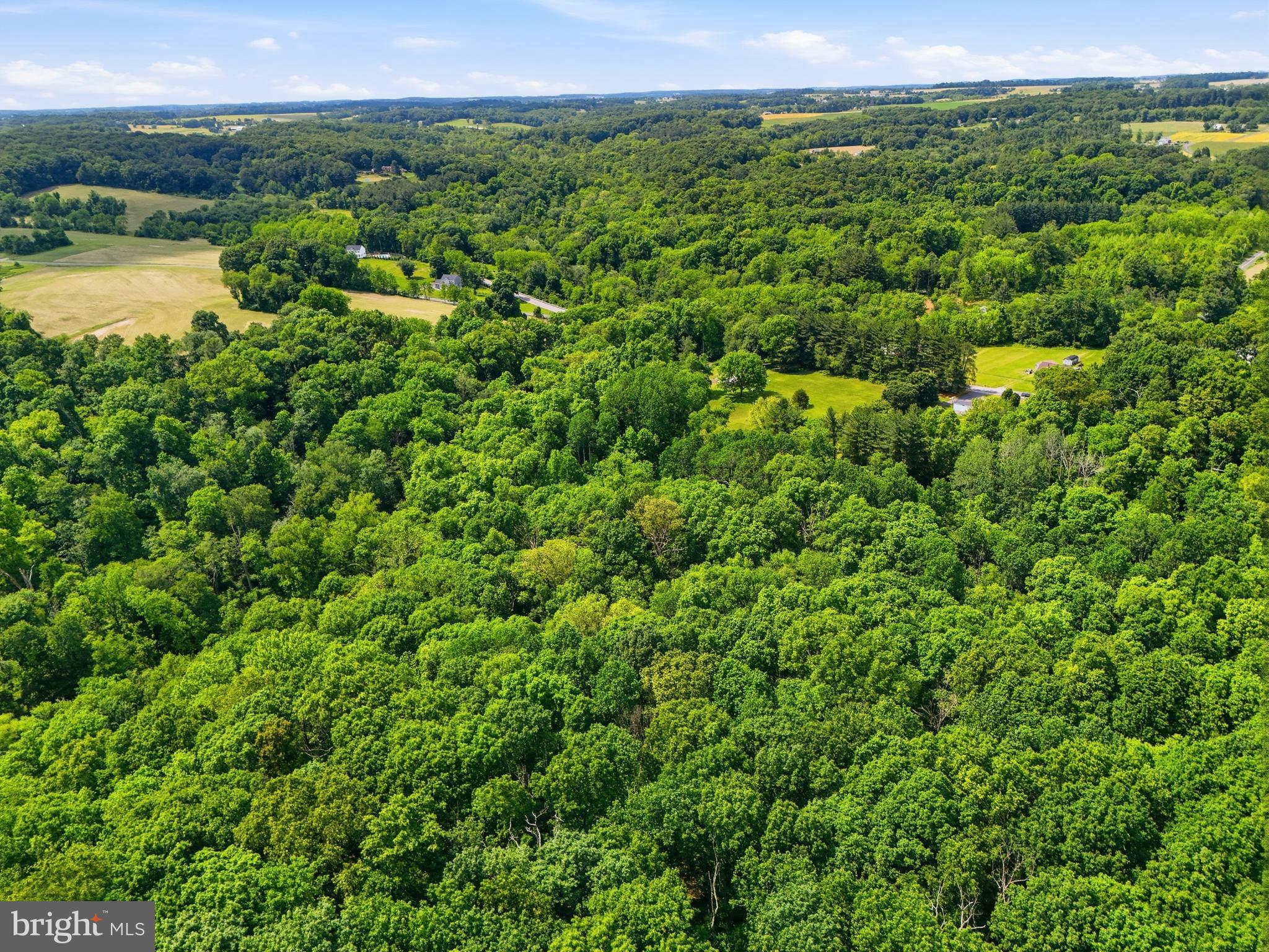 1809 Harkins Road Pylesville, MD 21132 - Photo 45 of 53