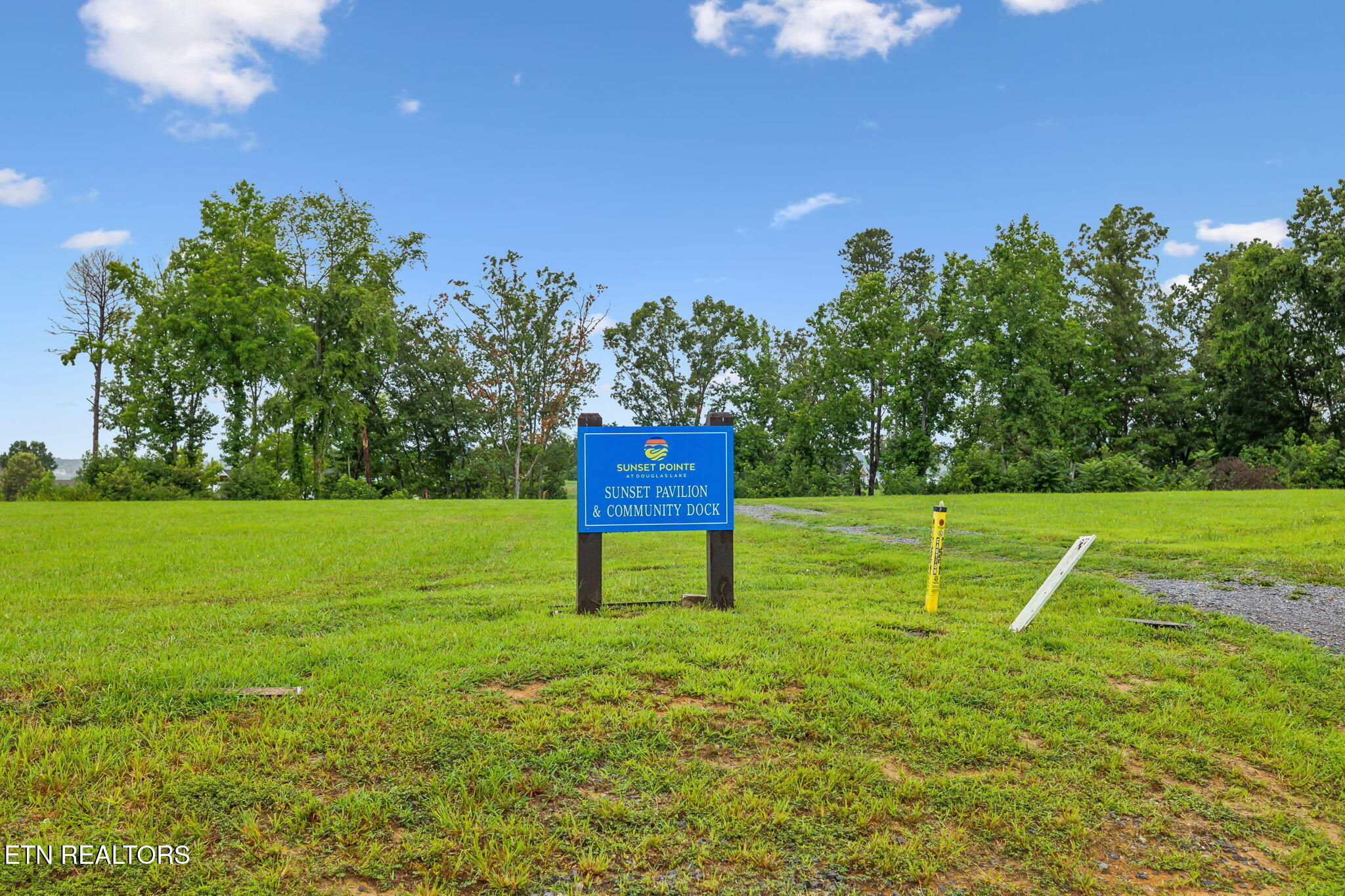 27 Sunset Boulevard White Pine, TN 37890 - Photo 8 of 12 8-web-or-mls-Lot 29 Sunset Blvd - 008