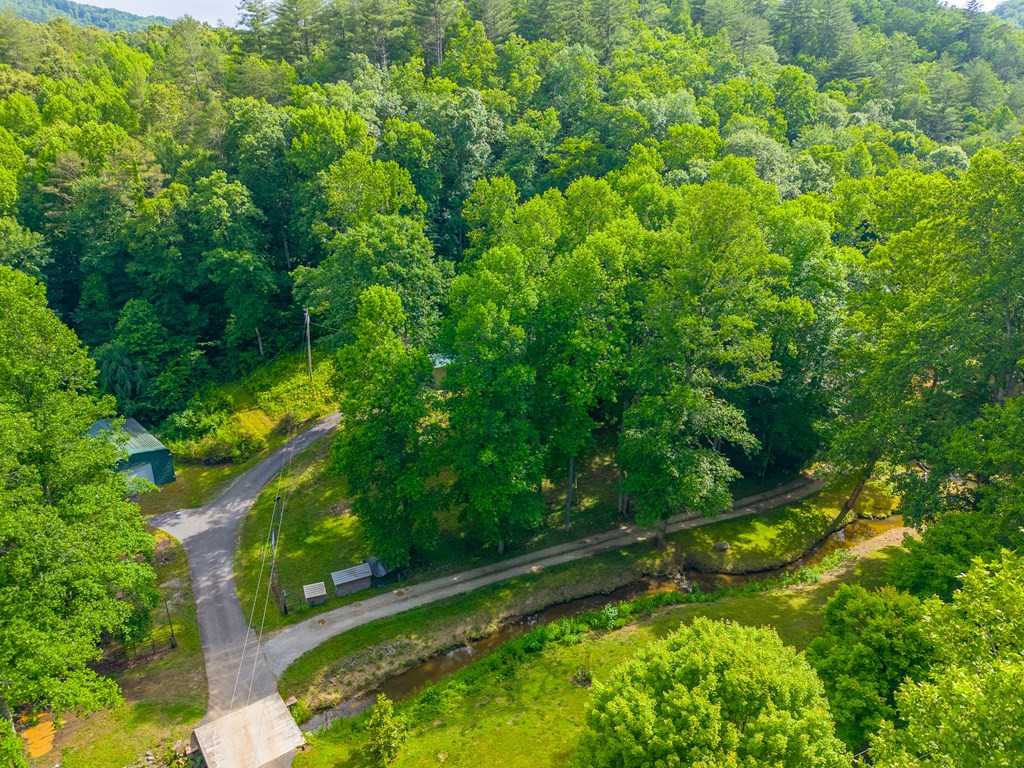 224 Cochrans Cr Road Robbinsville, NC 28771 - Photo 42 of 42
