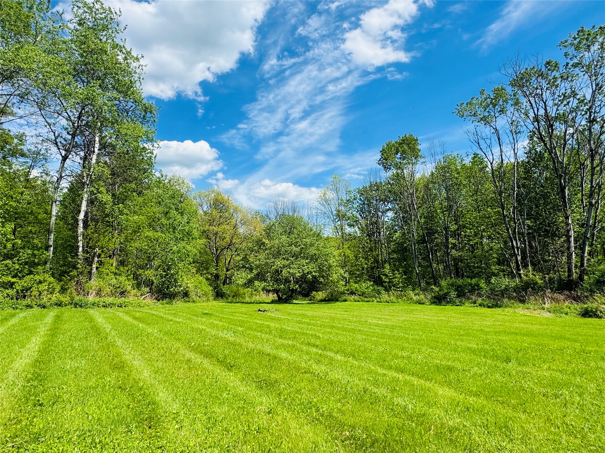 222 Duell Road Binghamton, NY 13904 - Photo 5 of 30
