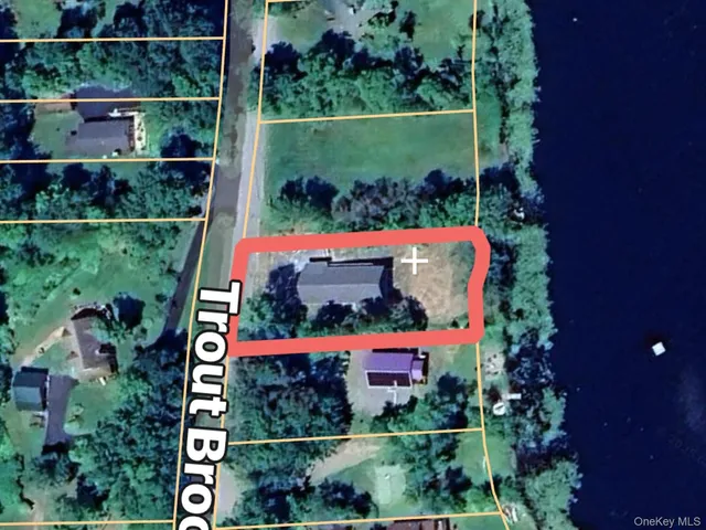 an outdoor space with lots of plants and flowers