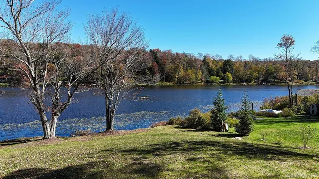 a view of a lake with houses in the back