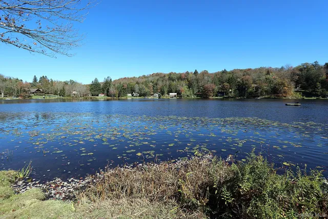 a view of lake with green space