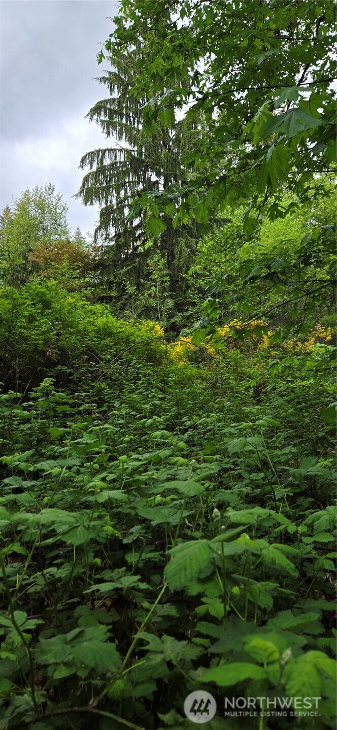 0 Port Gamble Road Northeast Poulsbo, WA 98370 - Photo 13 of 15