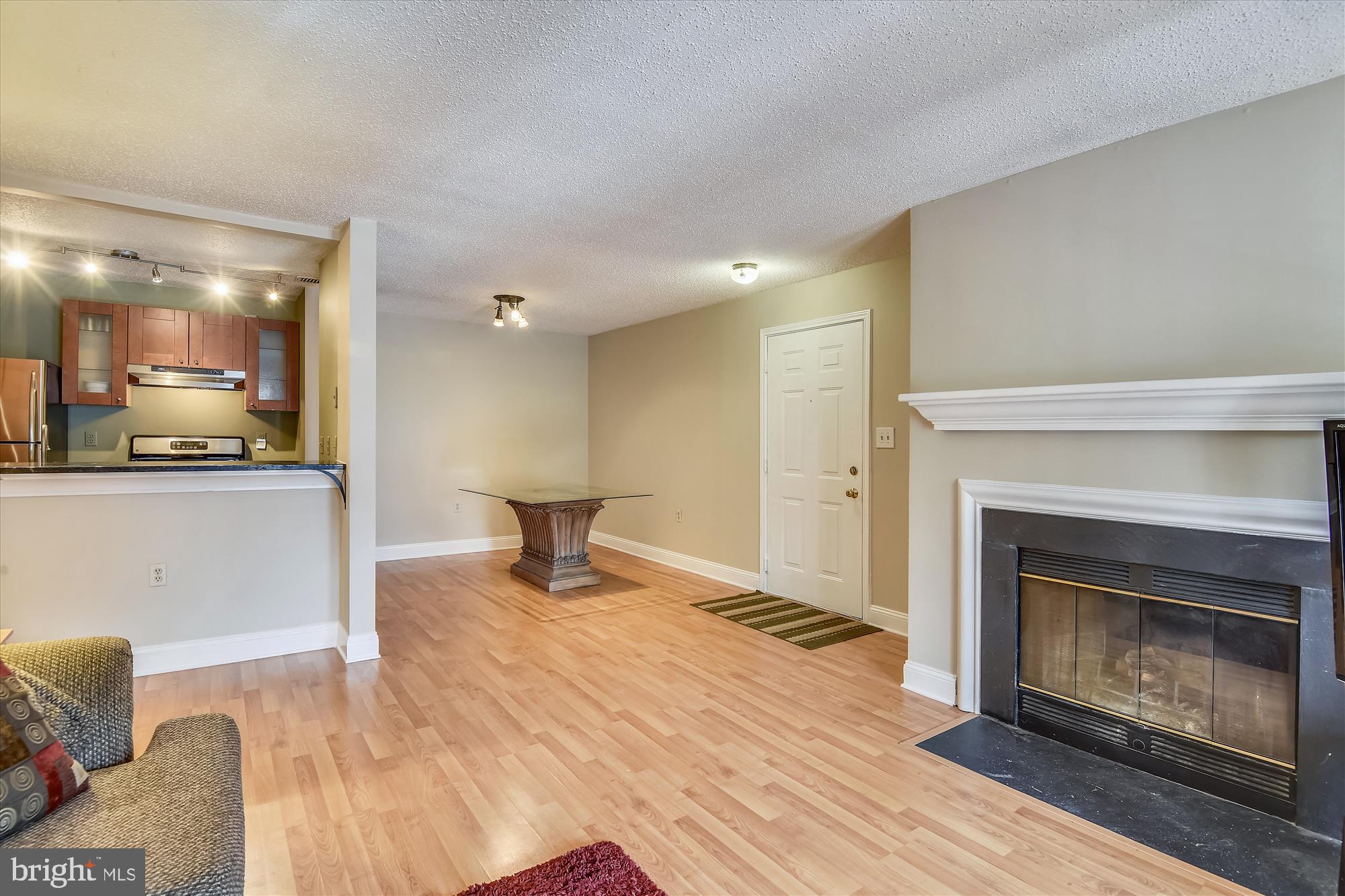 20979 Timber Ridge Terrace, Unit 204 Ashburn, VA 20147 - Photo 6 of 29 a living room with furniture and a fireplace