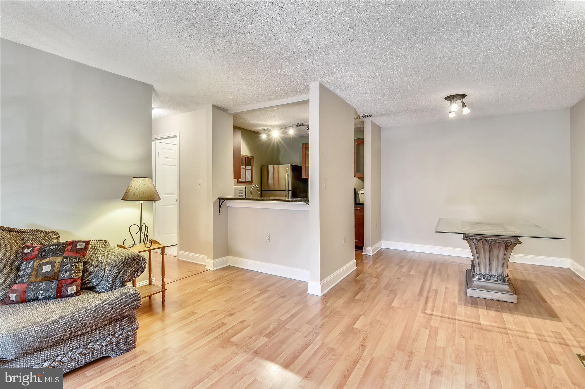 20979 Timber Ridge Terrace, Unit 204 Ashburn, VA 20147 - Photo 8 of 29 a living room with furniture and wooden floor
