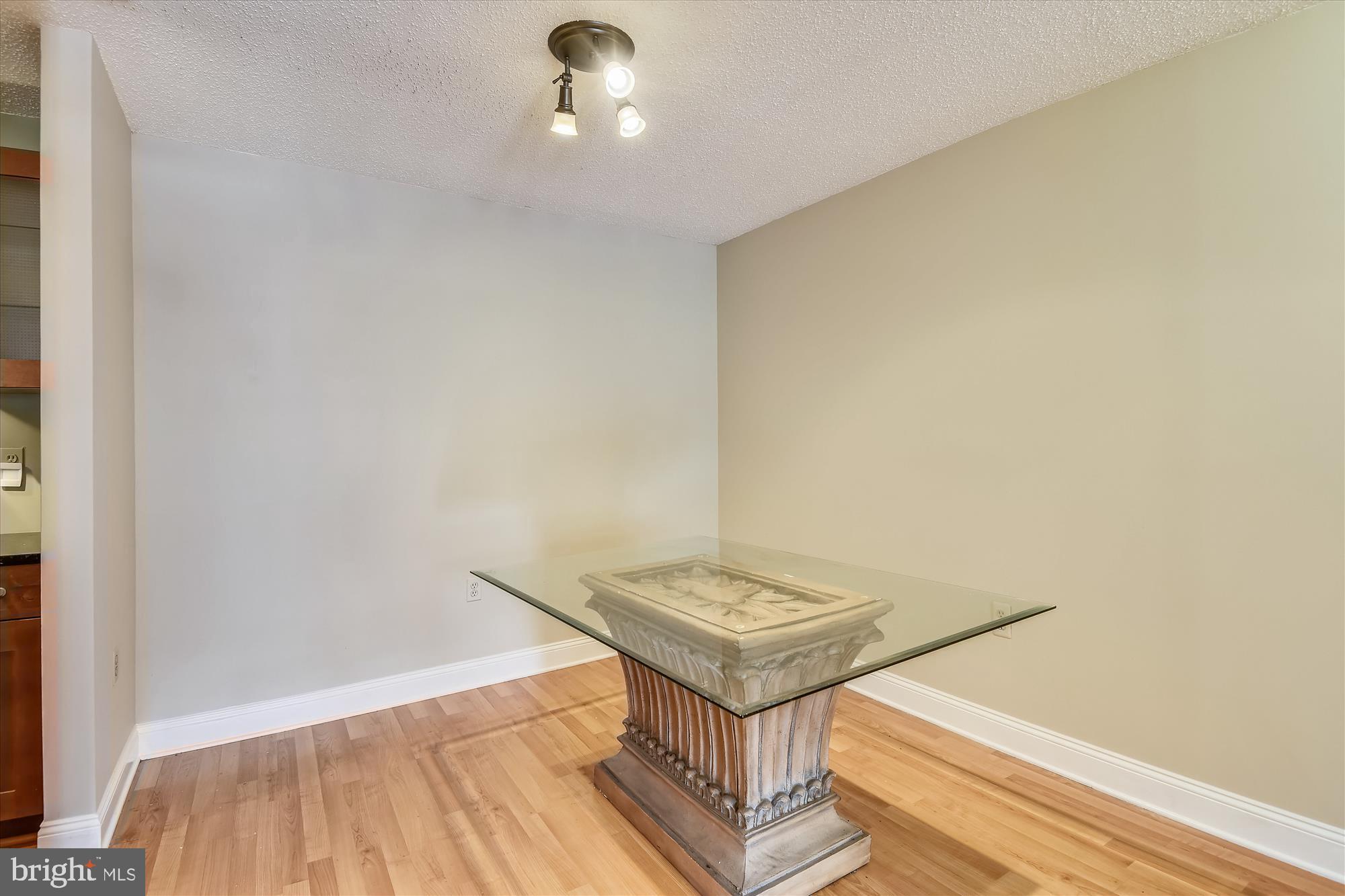 20979 Timber Ridge Terrace, Unit 204 Ashburn, VA 20147 - Photo 10 of 29 a view of a room with wooden floor and sink