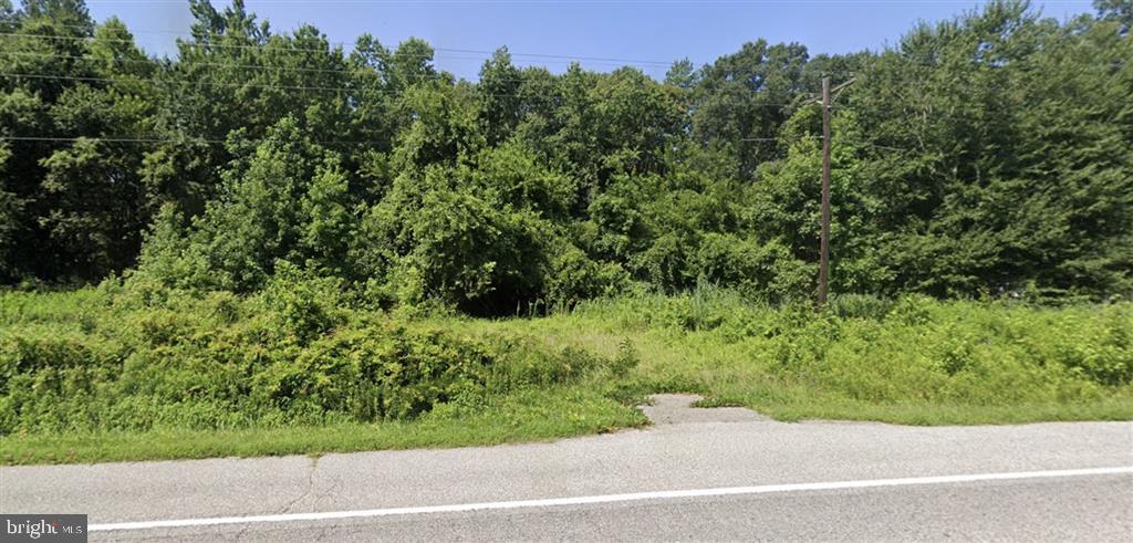 1724 Starr Road Queen Anne, MD 21657 - Photo 1 of 2 a view of a yard