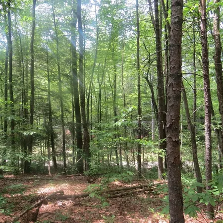 $110,000 | Lot 1 Pratt Corner Road, Shutesbury, MA 01072