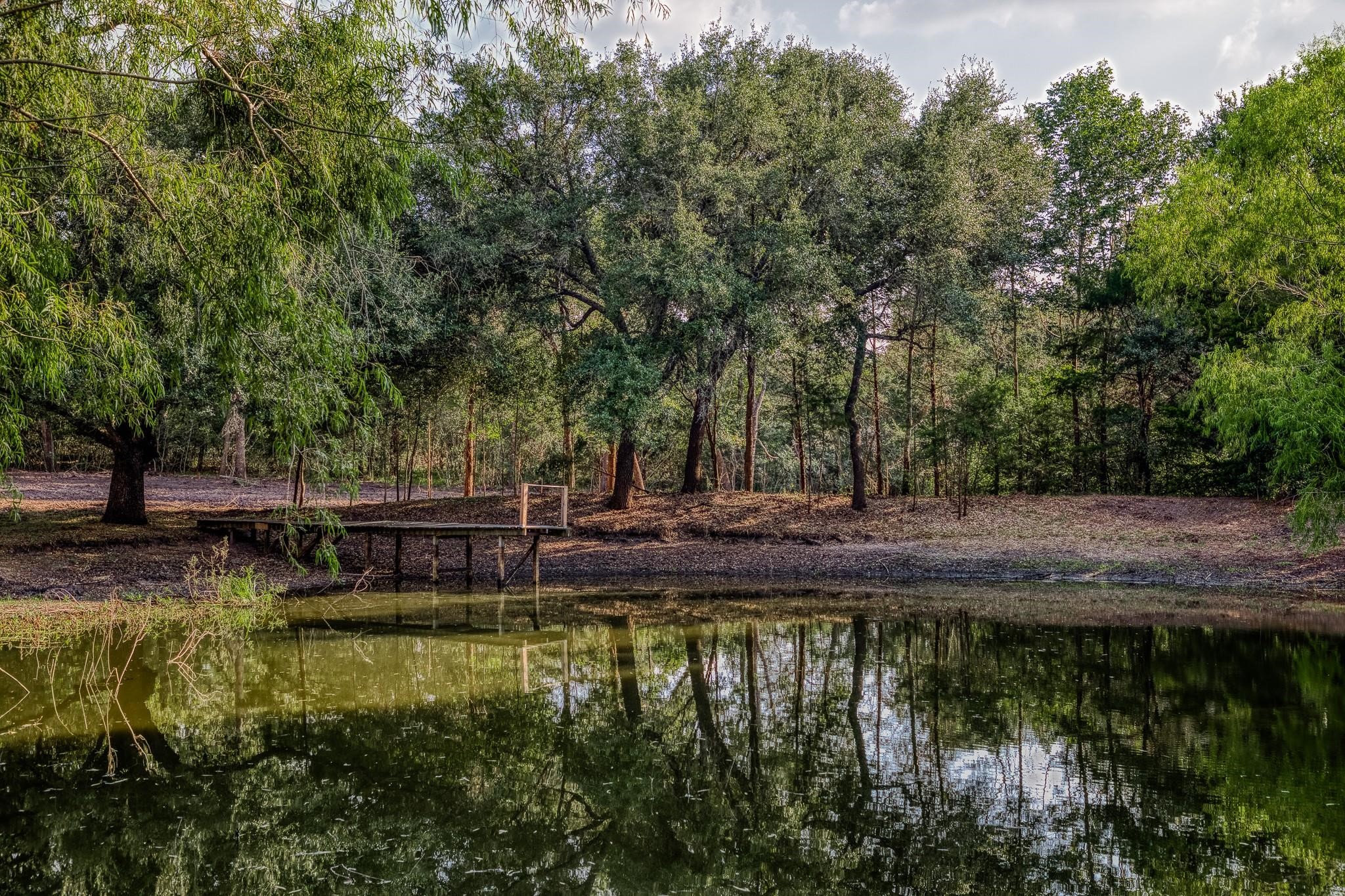 0 Sun Oil Road Brenham, TX 77833 - Photo 21 of 26