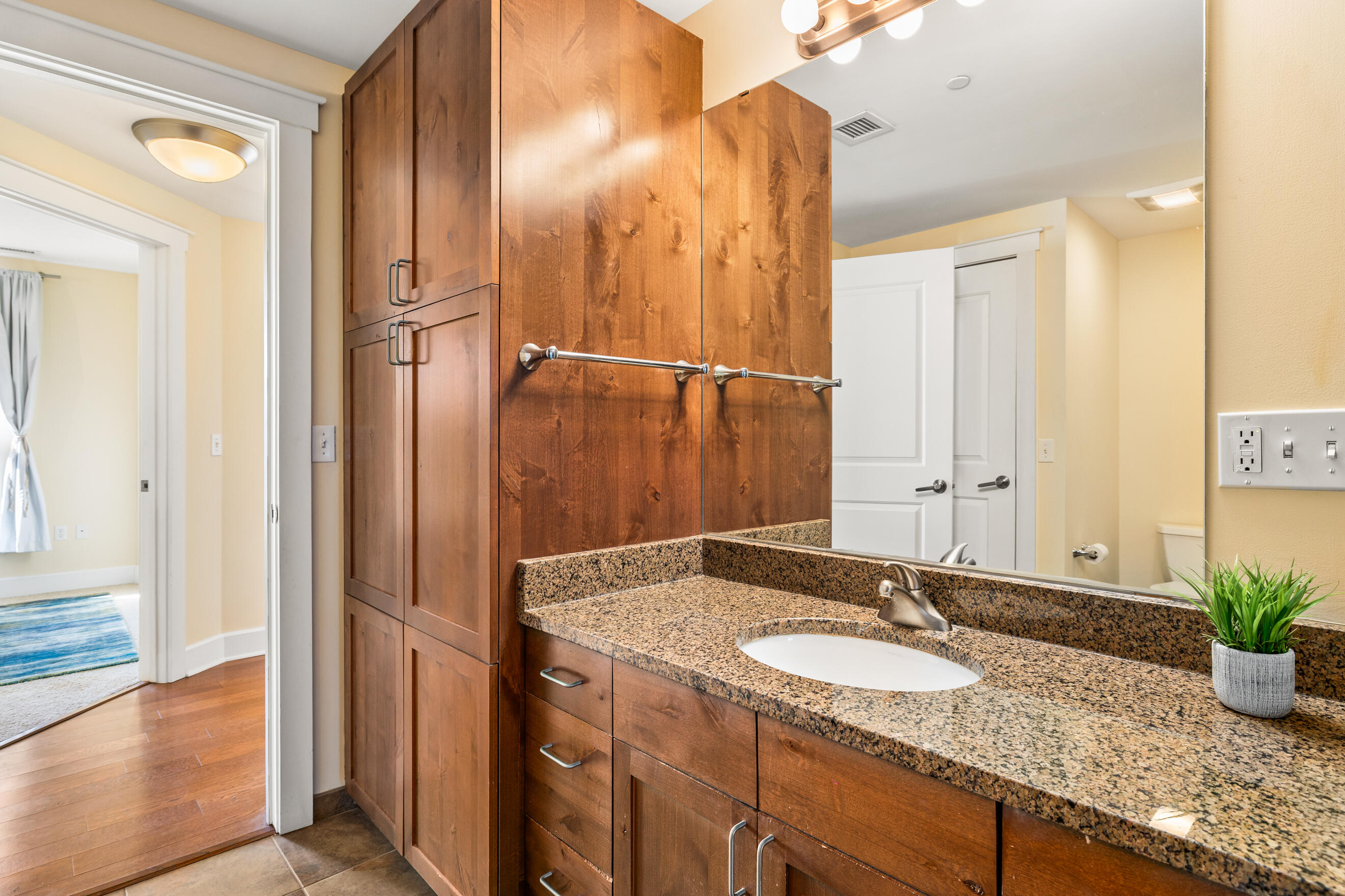 27 Library Street Northeast, Unit 504 Grand Rapids, MI 49503 - Photo 14 of 24 Bathroom
