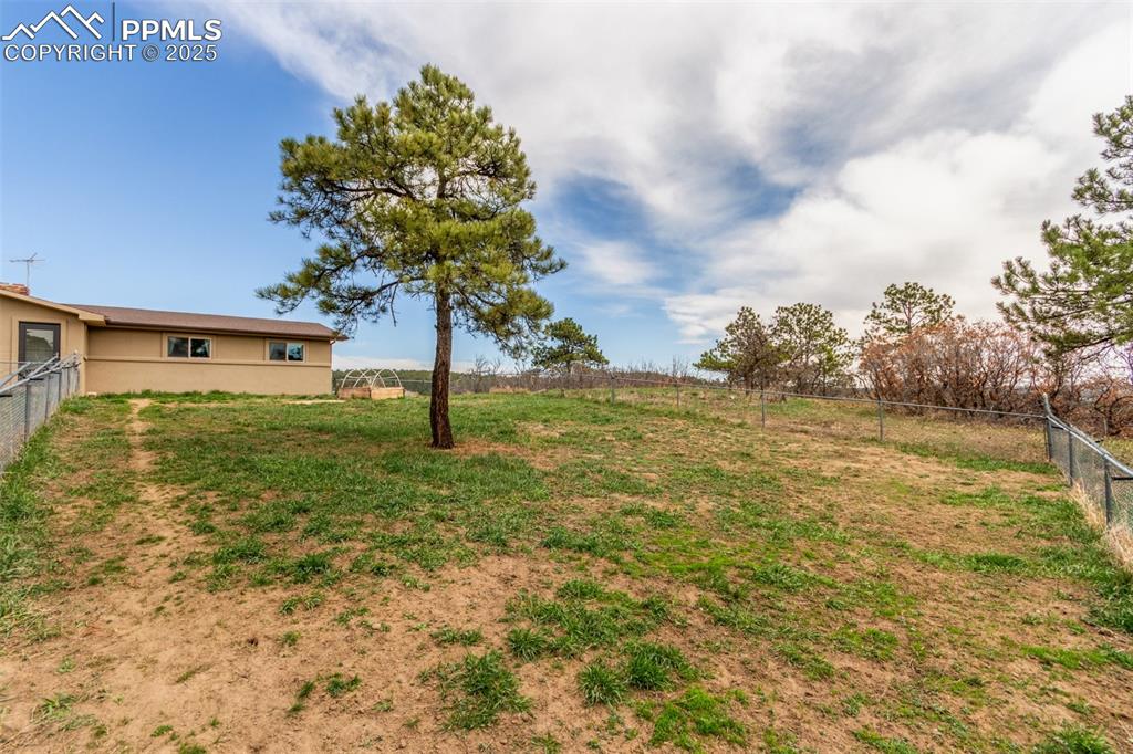 19855 Draco Drive Monument, CO 80132 - Photo 31 of 44 Top yard off the front and to the side of the home