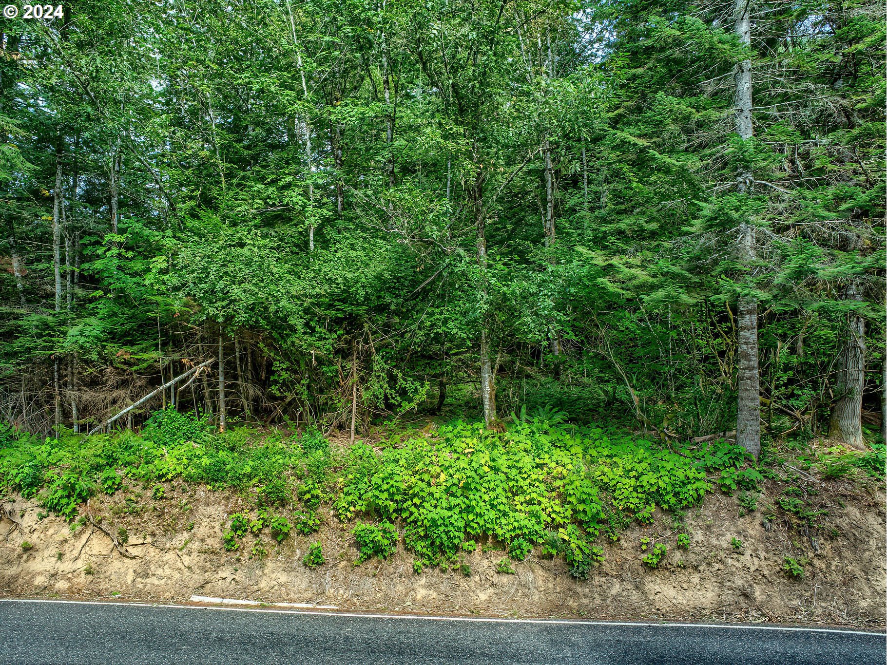 Bear Creek Road Carson, WA 98610 - Photo 7 of 8