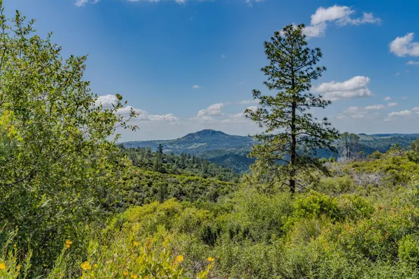 $459,000 | 3155 Hawver Road, San Andreas, CA 95249