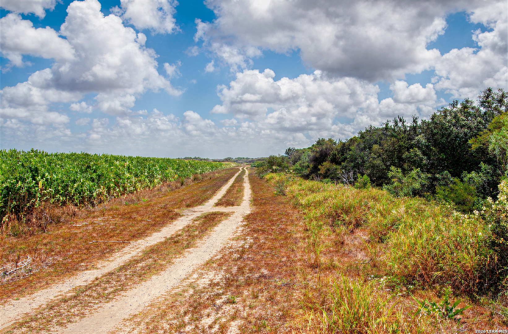 Mile3 Nittler Road Monte Alto, TX 78538 - Photo 10 of 14