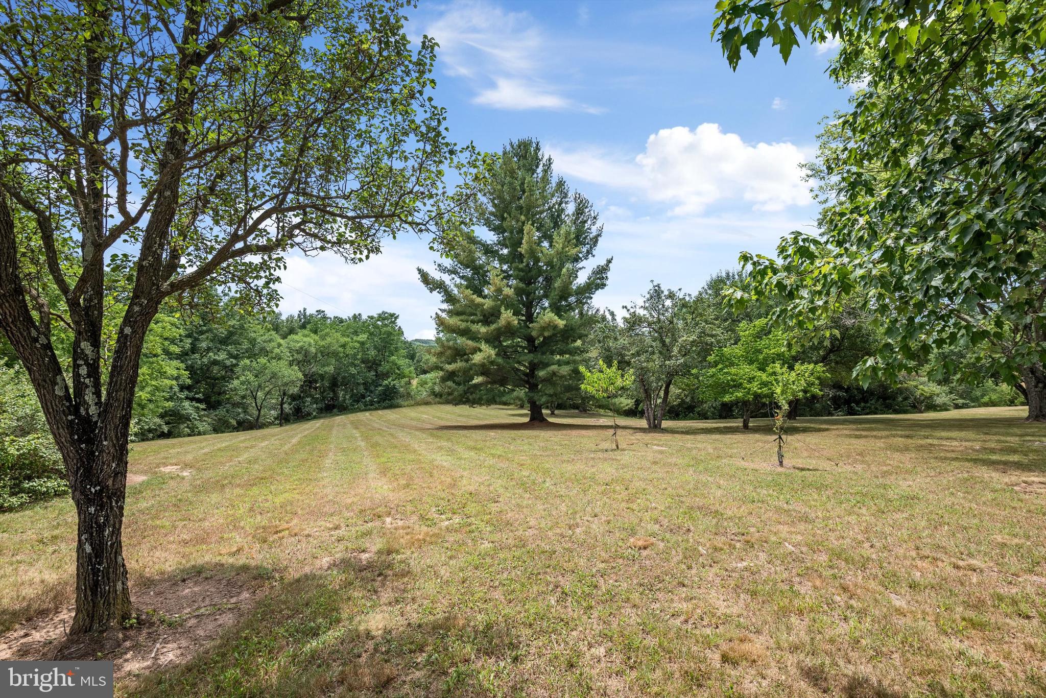 272 Star Tannery Road Star Tannery, VA 22654 - Photo 39 of 72 Gallery Image 39