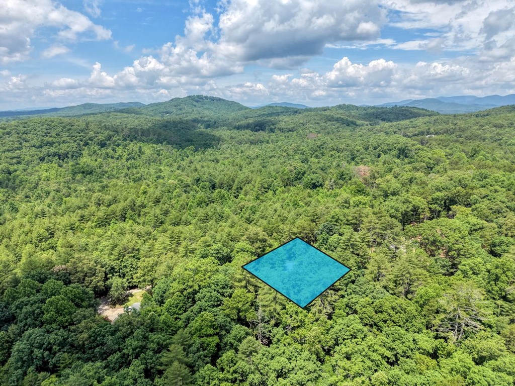 139 Dowd Road Morganton, GA 30560 - Photo 55 of 55