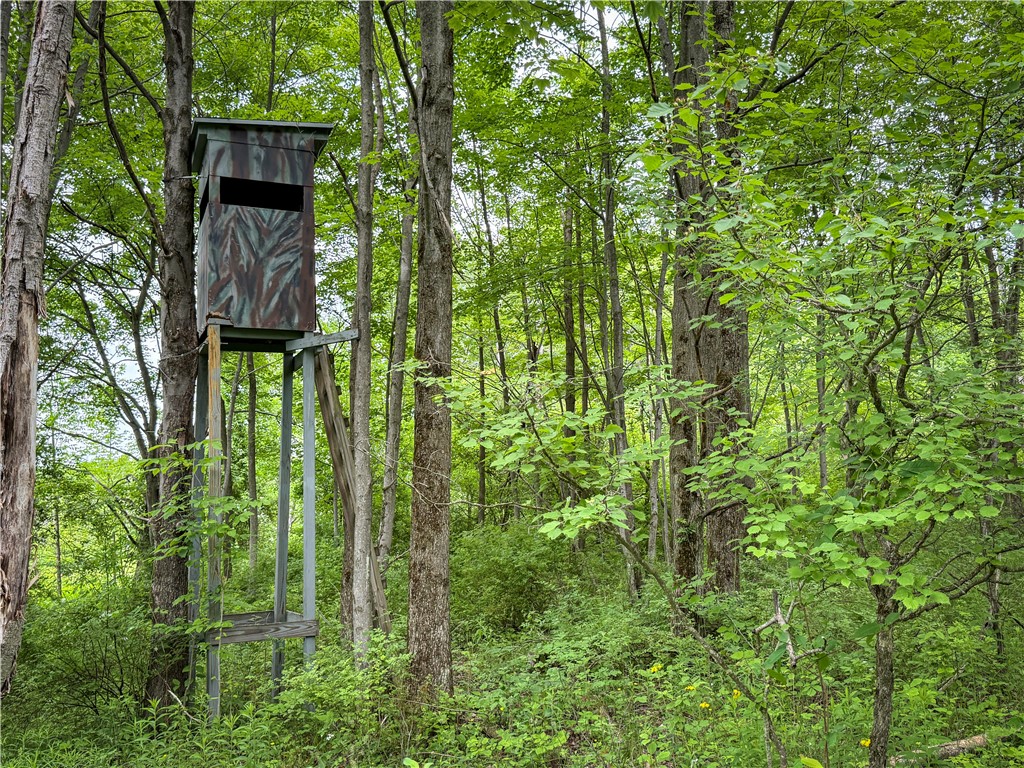 5401 Old Bath Road Barrington, NY 14837 - Photo 32 of 50